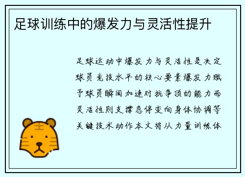足球训练中的爆发力与灵活性提升